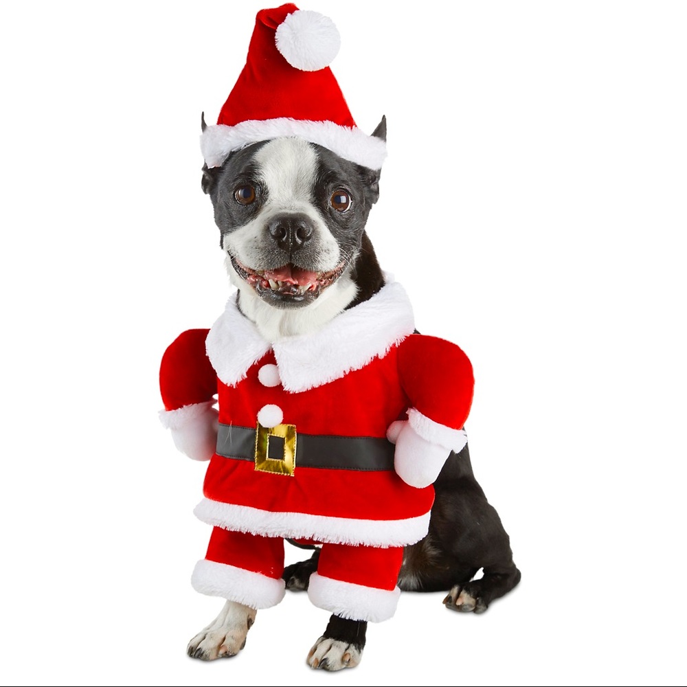 Time For Joy Santa Illusion Dog Costume 🐶🐾🎅🏻